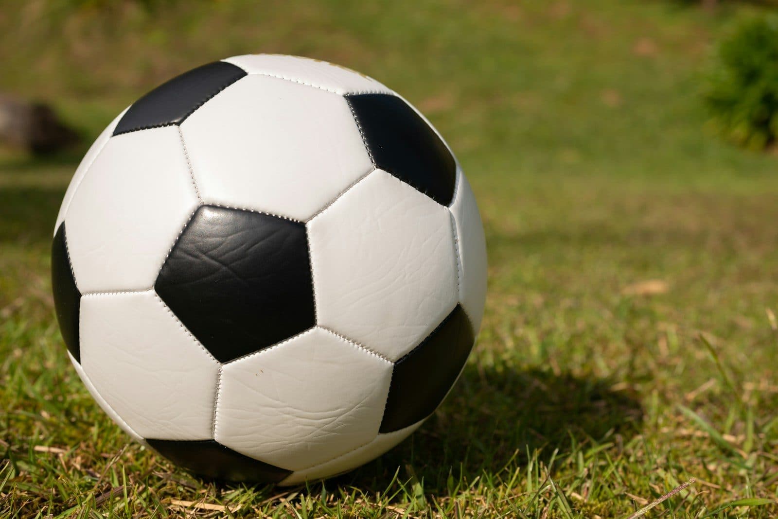 Çimdeki futbol topu